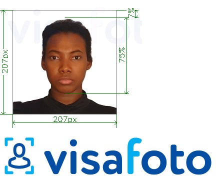 Fotobeispiel für Kenia Visum 207x207 Pixel mit genauer größenangabe