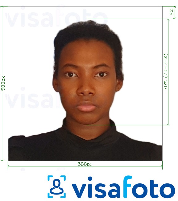 Fotobeispiel für Kenia E-Visum online 500x500 Pixel mit genauer größenangabe
