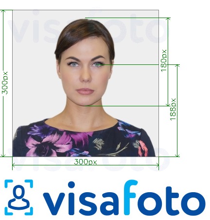 Fotobeispiel für Southeasterns ID Card Online 300x300 px mit genauer größenangabe